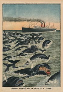 Un banco di balene attacca un transatlantico, illustrazione di copertina da 